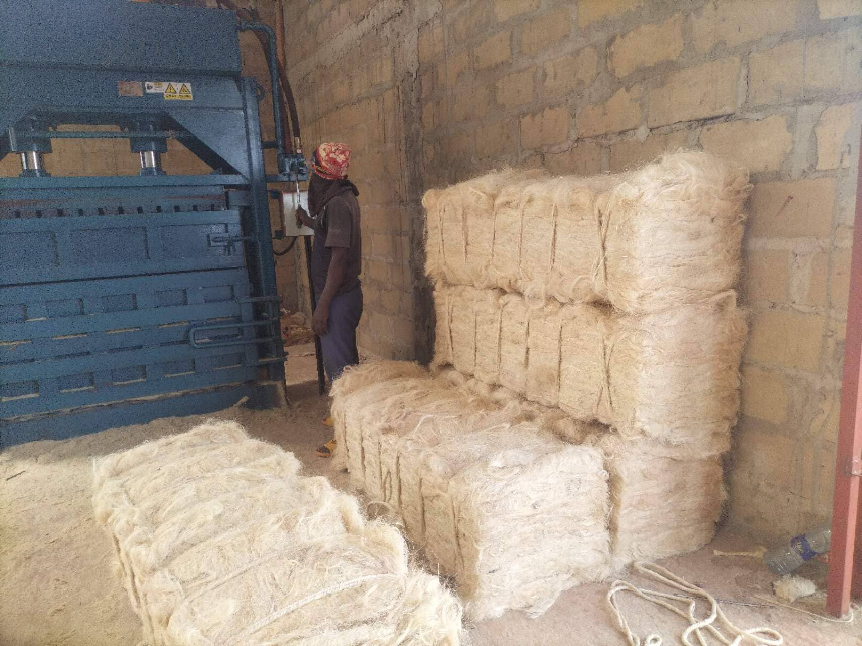 Fiber extraction site 4